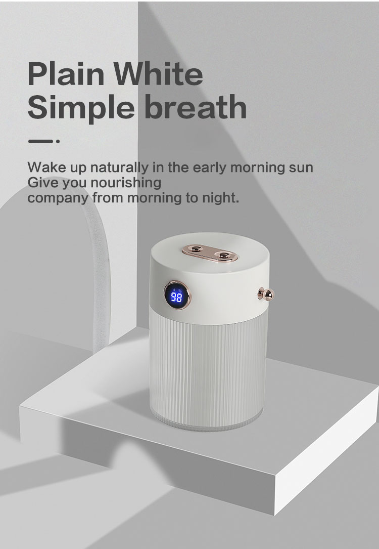 Air Humidifier QW-H18（650ml）